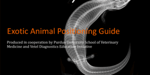 Exotic Animal Radiographic Positioning Guide ebook