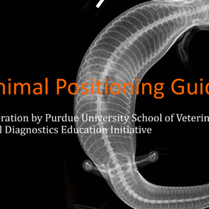 Exotic Animal Radiographic Positioning Guide ebook