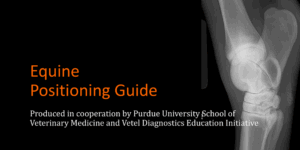 Equine Radiographic Positioning Guide ebook
