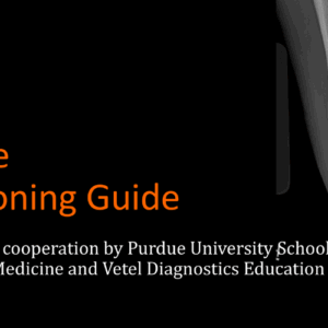 Equine Radiographic Positioning Guide ebook