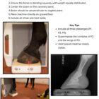Eq lateral foot sample