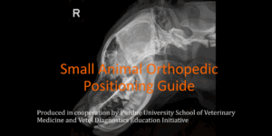 Small Animal Orthopedic Positioning Guide ebook