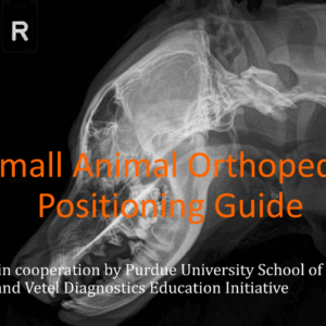 Small Animal Orthopedic Positioning Guide ebook