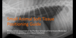 Small Animal Soft Tissue Radiographic Positioning Guide ebook