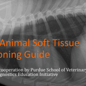 Small Animal Soft Tissue Radiographic Positioning Guide ebook