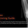 VUE Equine Positioning Guide cover