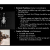 VUE Exotic Animal Positioning Guide Sample