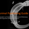 VUE Exotic Animal Positioning Guide cover