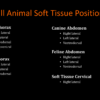 VUE Small Animal Positioning Guide Soft Tissue TOC