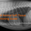 VUE Small Animal Positioning Guide Soft Tissue