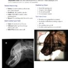 ca_ortho_sample_page