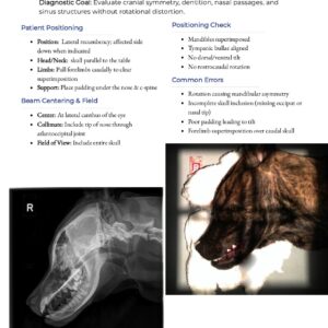 ca_ortho_sample_page
