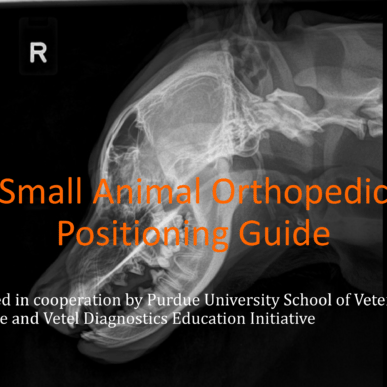 Exotic Animal Radiographic Positioning Guide ebook – VUE IMAGING