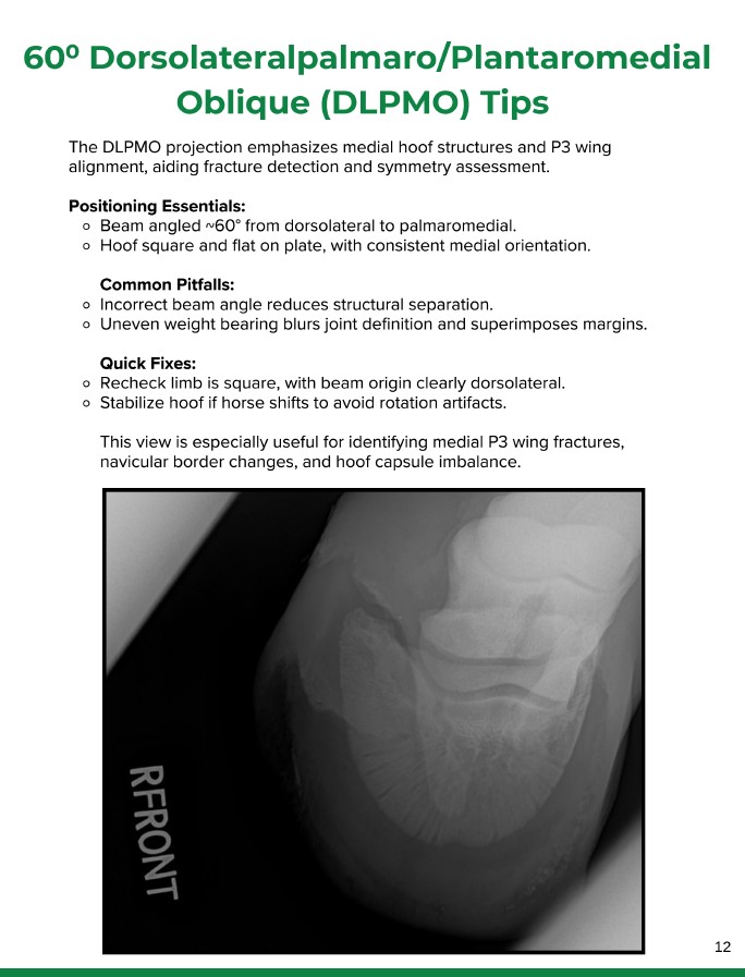 eq guide sample 2 eq guide sample 2