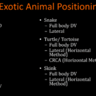 products web (1000 x 500 px)