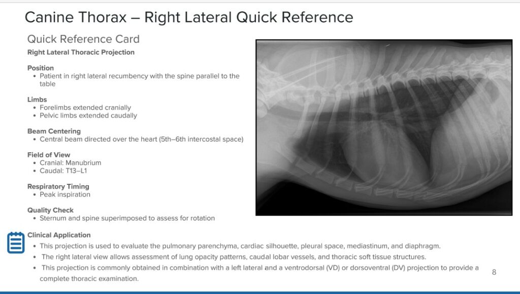 Small Animal Soft Tissue Radiographic Positioning Guide ebook - Vue Imaging