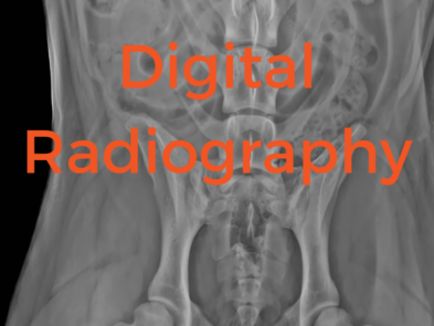 Digital Radiography